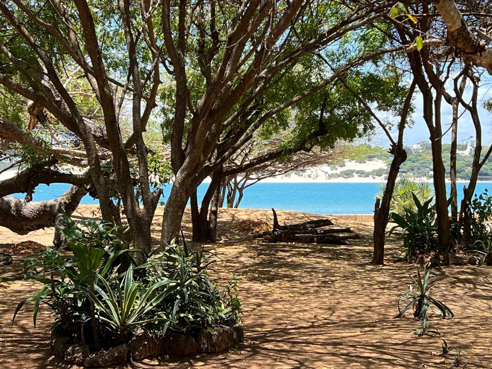 Hotel Mangrove House Lamu Exterior foto